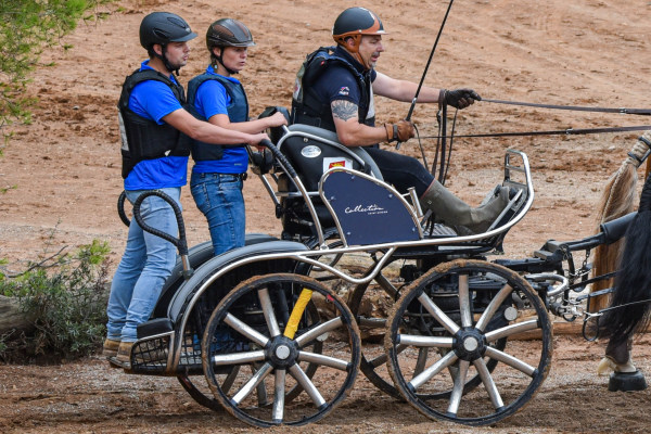 Calèche pour attelage sportif, Attelages des Aulnes, Normandie