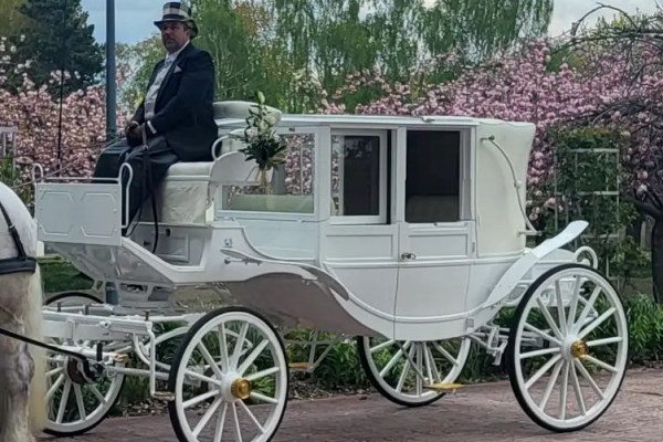 Calèche landeau blanc crème, Attelages des Aulnes, Normandie