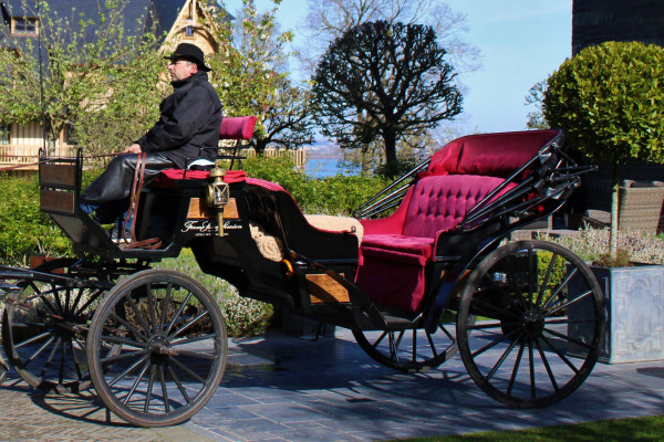 Calèche vis à vis noire, velour rouge, Attelages des Aulnes, Normandie