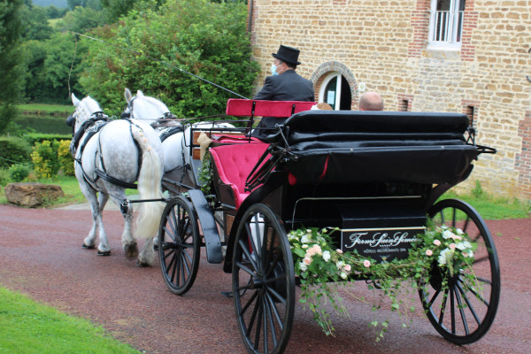 Calèche vis à vis noire, velour rouge, Attelages des Aulnes, Normandie