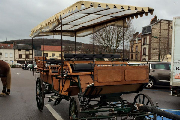 Calèche wagon pour promenades, Attelages des Aulnes, Normandie